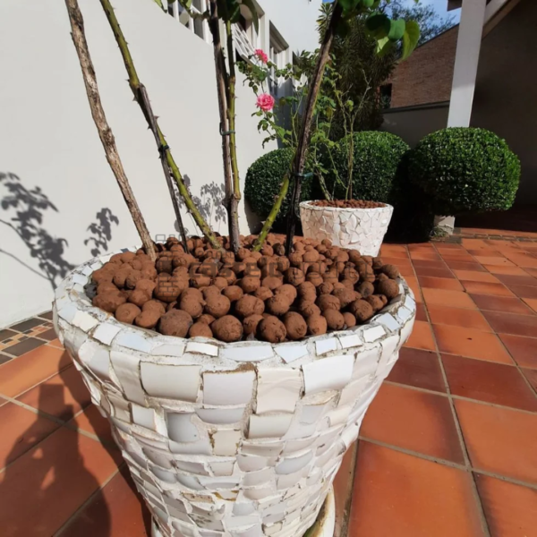 Argila Expandida